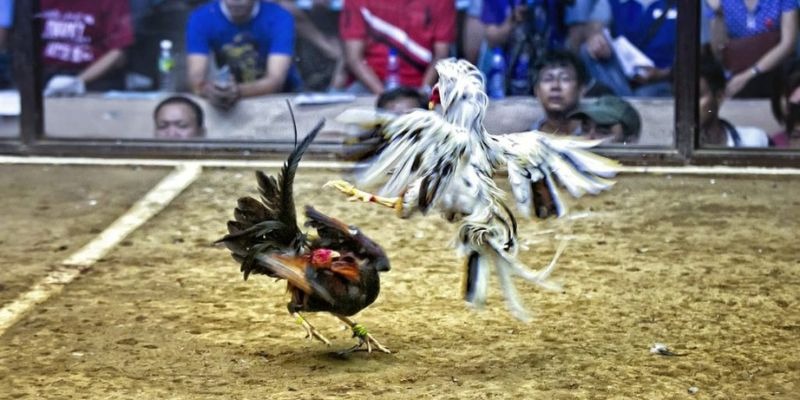 98win76 ﻿đăng nhập lô đề uy tín