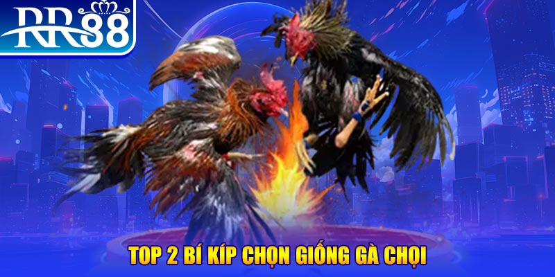 98win76 bắn cá h5