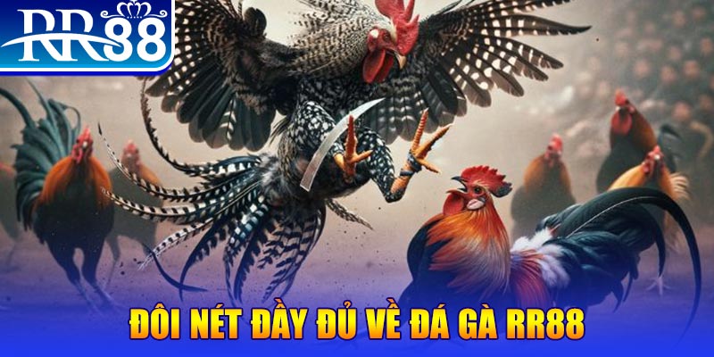 98win76 gà chọi hoà phong