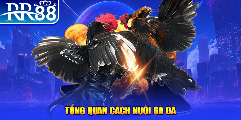 98win76 xổ số thứ ba
