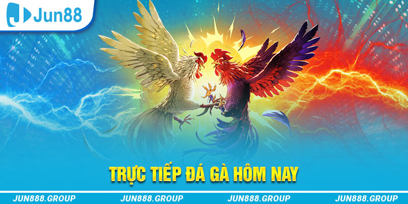 98win76 trực tiếp đá gà thomo
