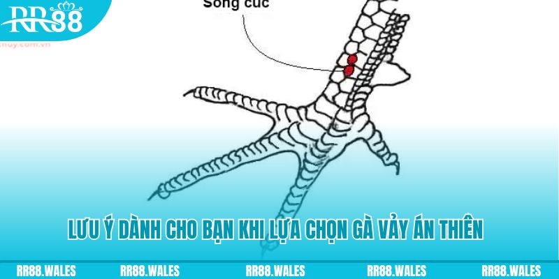 98win76 xổ số khánh hòa