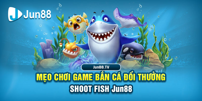 98win76 tải game đánh bài online về máy tính