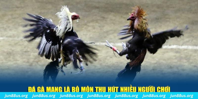 98win76 xổ số long an