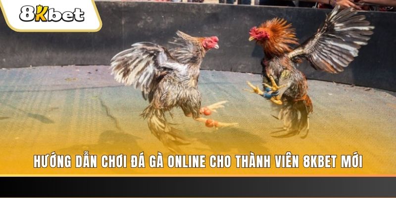 98win76 nổ hũ đổi thưởng . ai