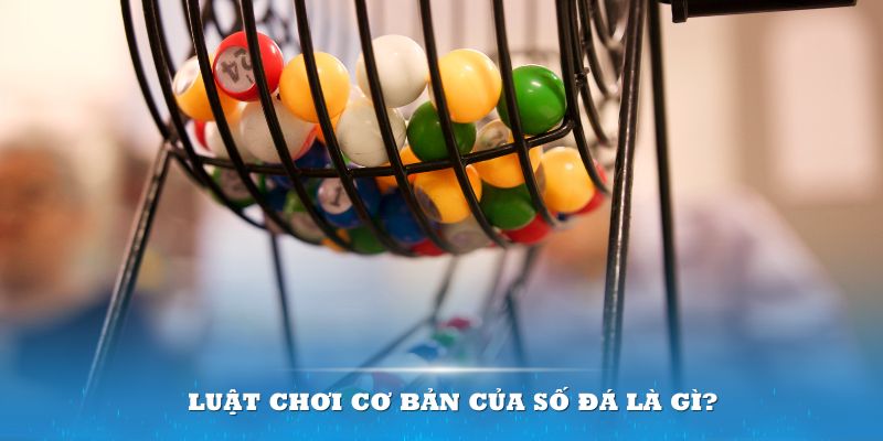 98win76 Đĩa màu ace