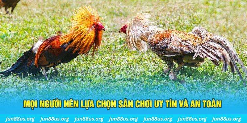 98win76 Tài Xỉu