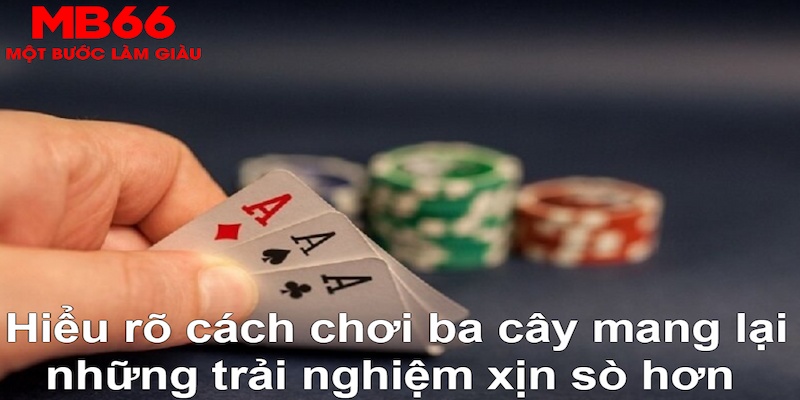 98win76 DB Trực Tuyến