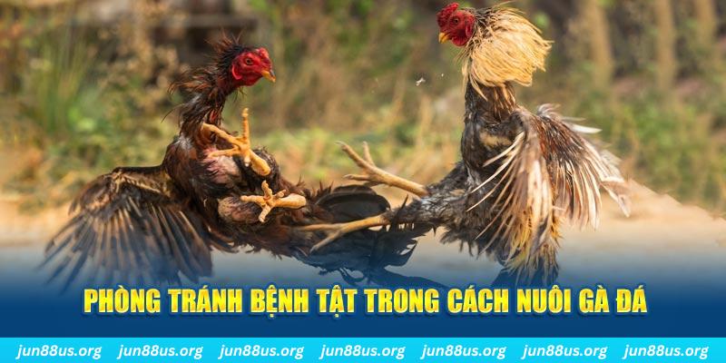 98win76 natural” trong baccarat nghĩa là gì？