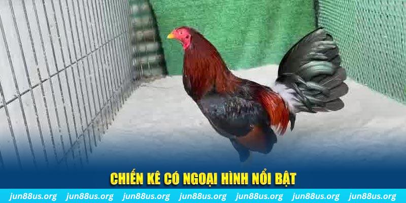 98win76 nhạc slot là gì