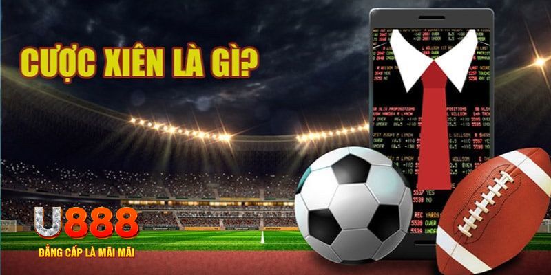 98win76 đá gà thomo hôm nay